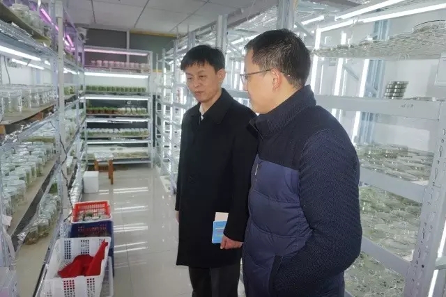 利来w66官网(中国区)_利来集团
